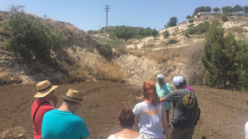 Continúan los encuentros entre agricultores y expertos de la Red de Innovadores Locales Agroecológicos