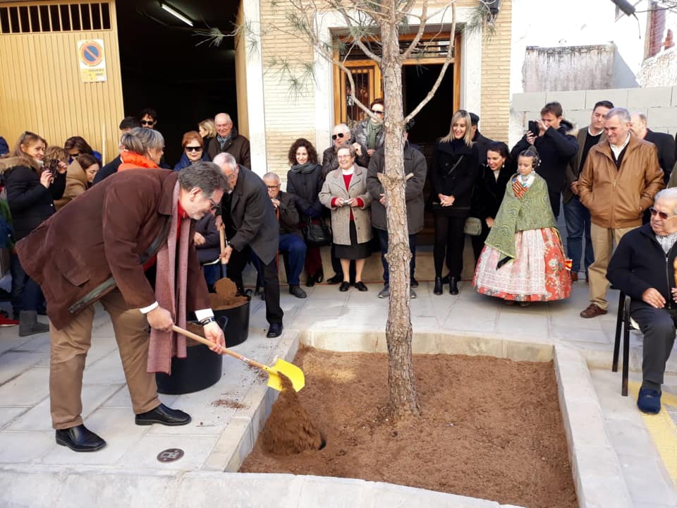 La calle de la Virgen María del Olivar recupera su tradicional pino