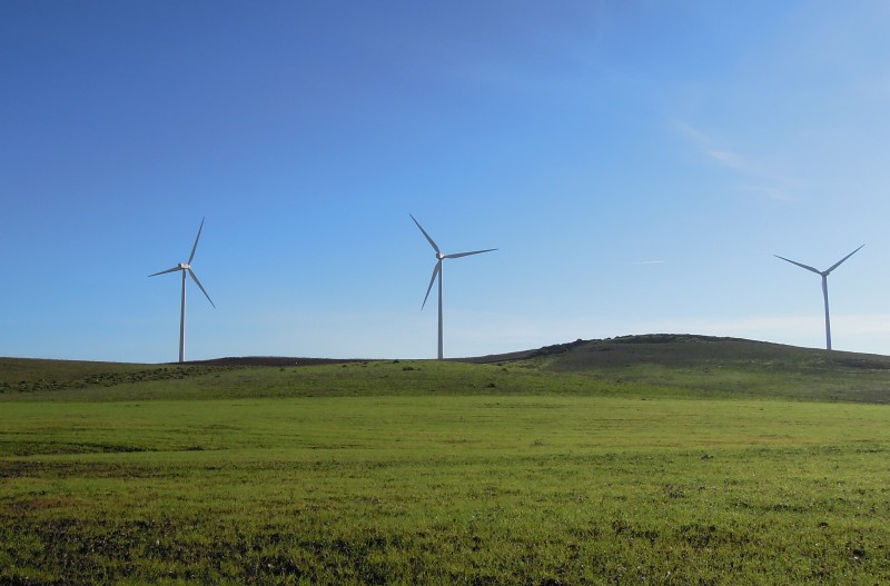 Iberdrola permite elegir a sus clientes el proyecto renovable del que procede su consumo de energía verde