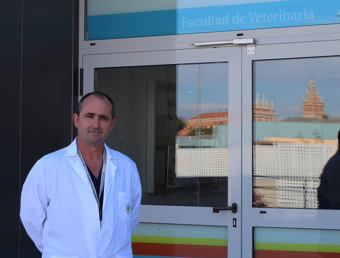 José Mª Carrillo,profesor de la CEU UCH, nuevo presidente de la Sociedad Española de Cirugía Veterinaria (SECIVE)