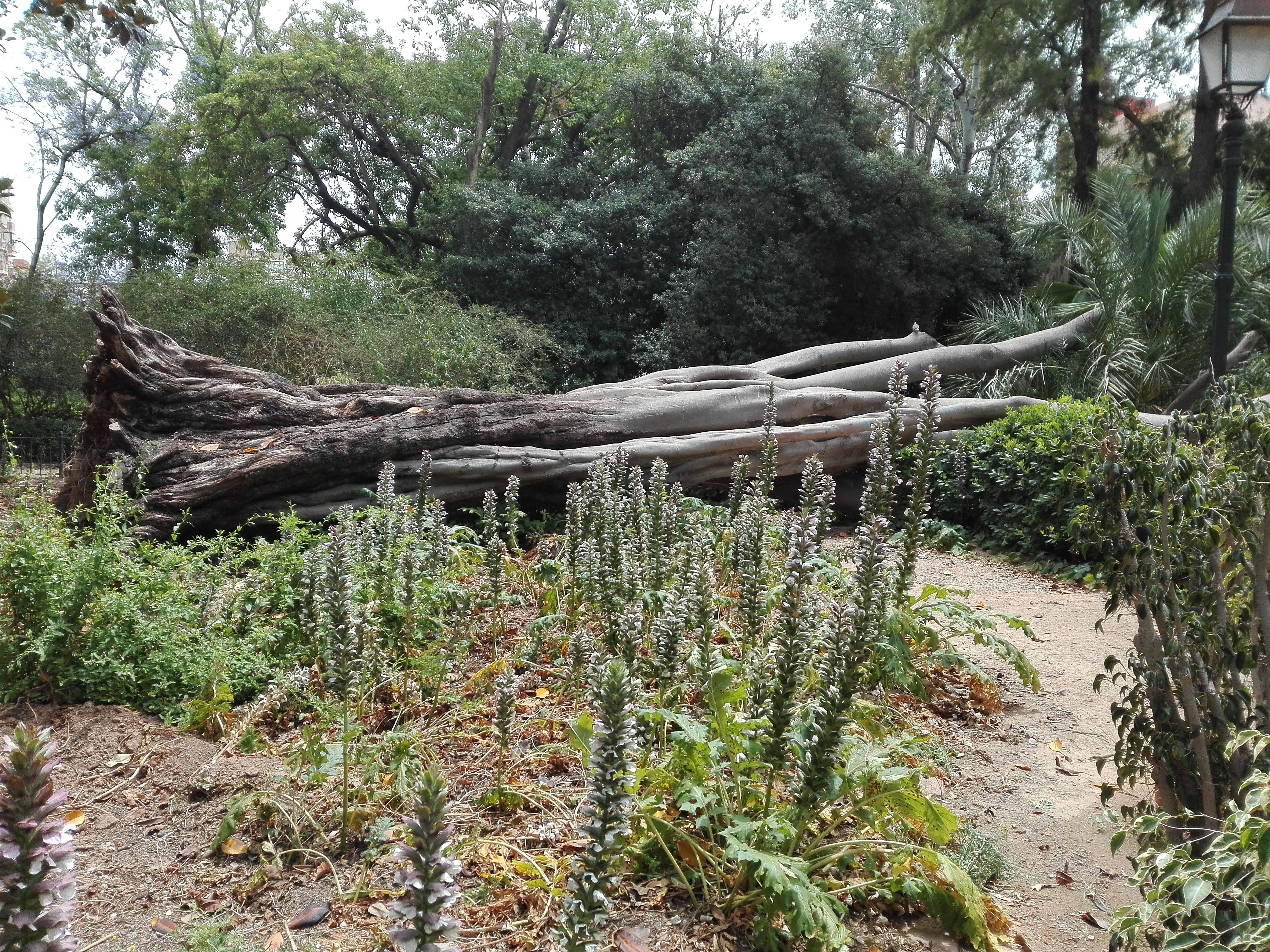 El parque de Ayora olvidado