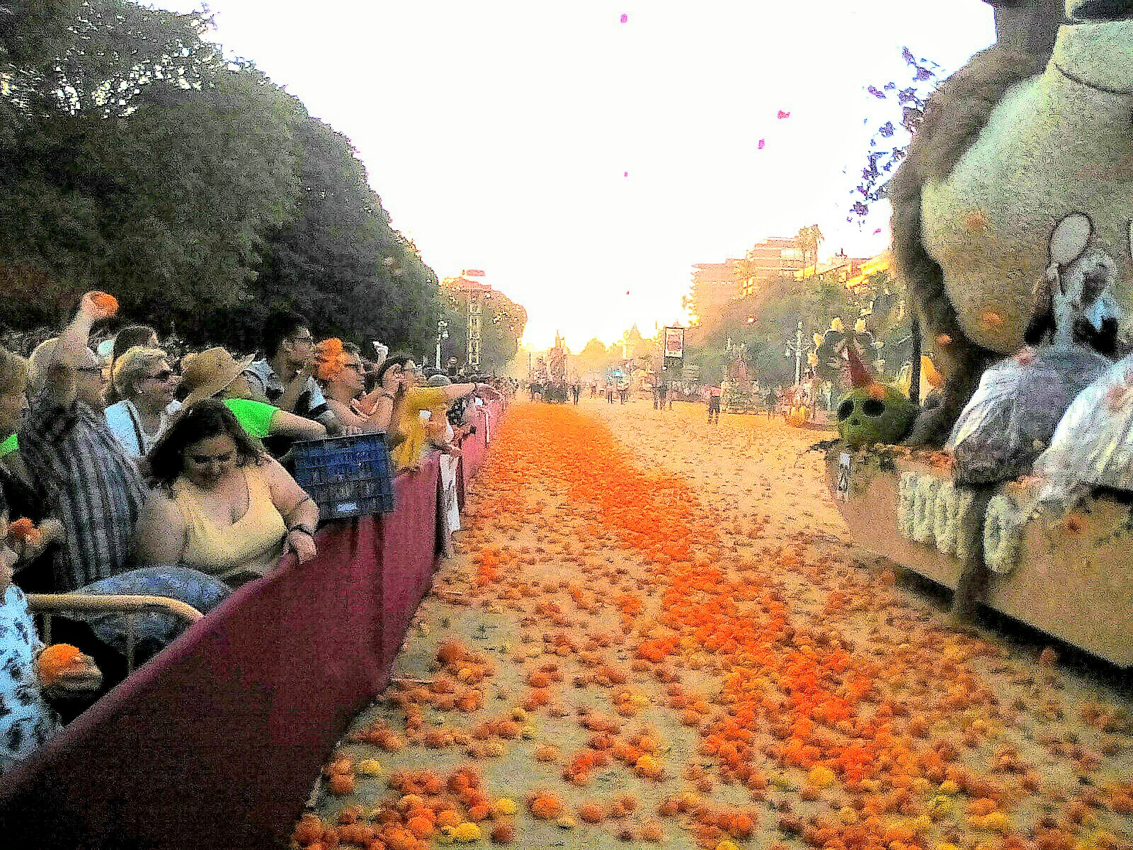 batalla de flors