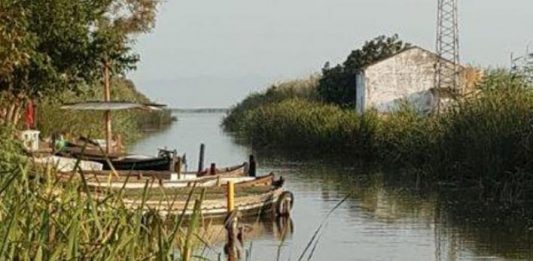 Ciudadanos exige a Mirella Mollá que asuma su responsabilidad y salve el Lago de L'Albufera de Valencia