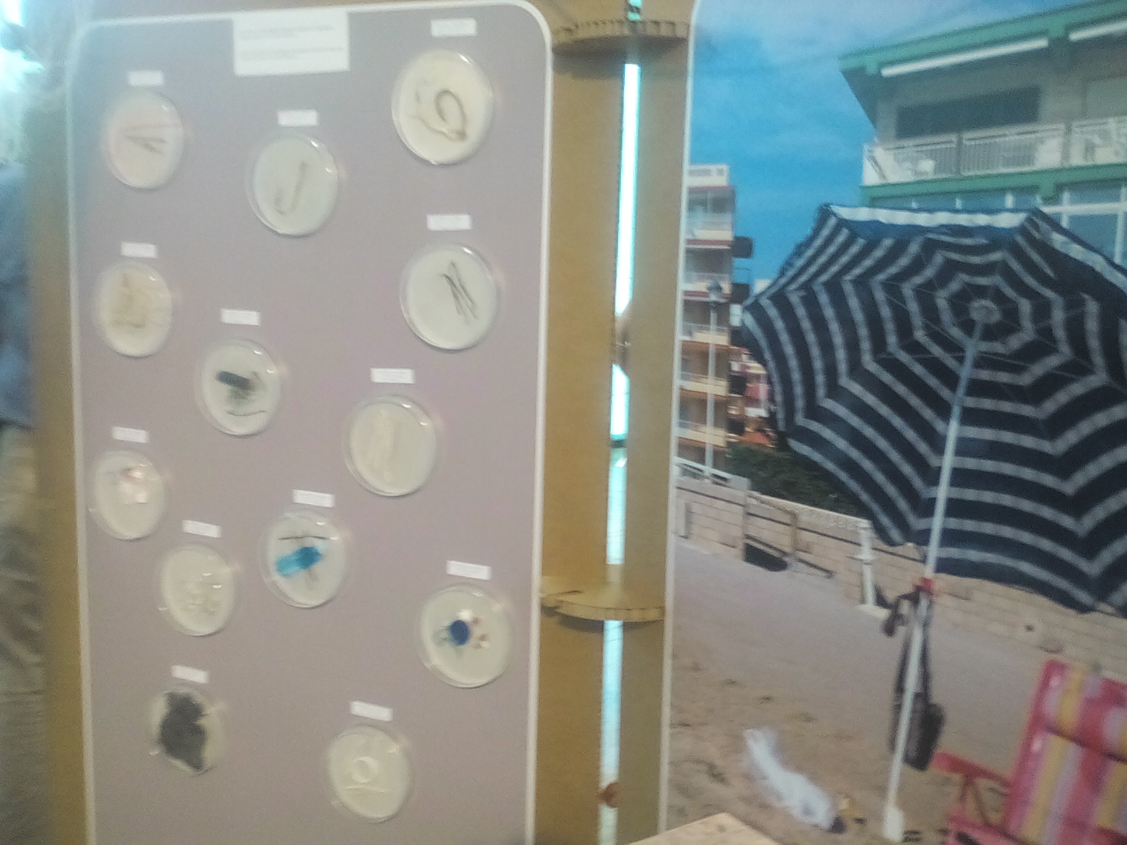 El plástico en el mar y la contaminación de las playas