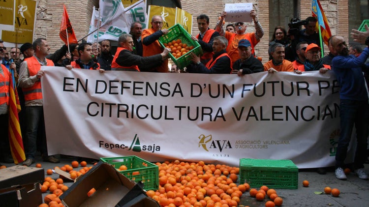AVA-ASAJA prevé un descenso del 10% en la próxima cosecha citrícola de la C. Valenciana e insiste en unos precios justos al agricultor tras la subida de costes