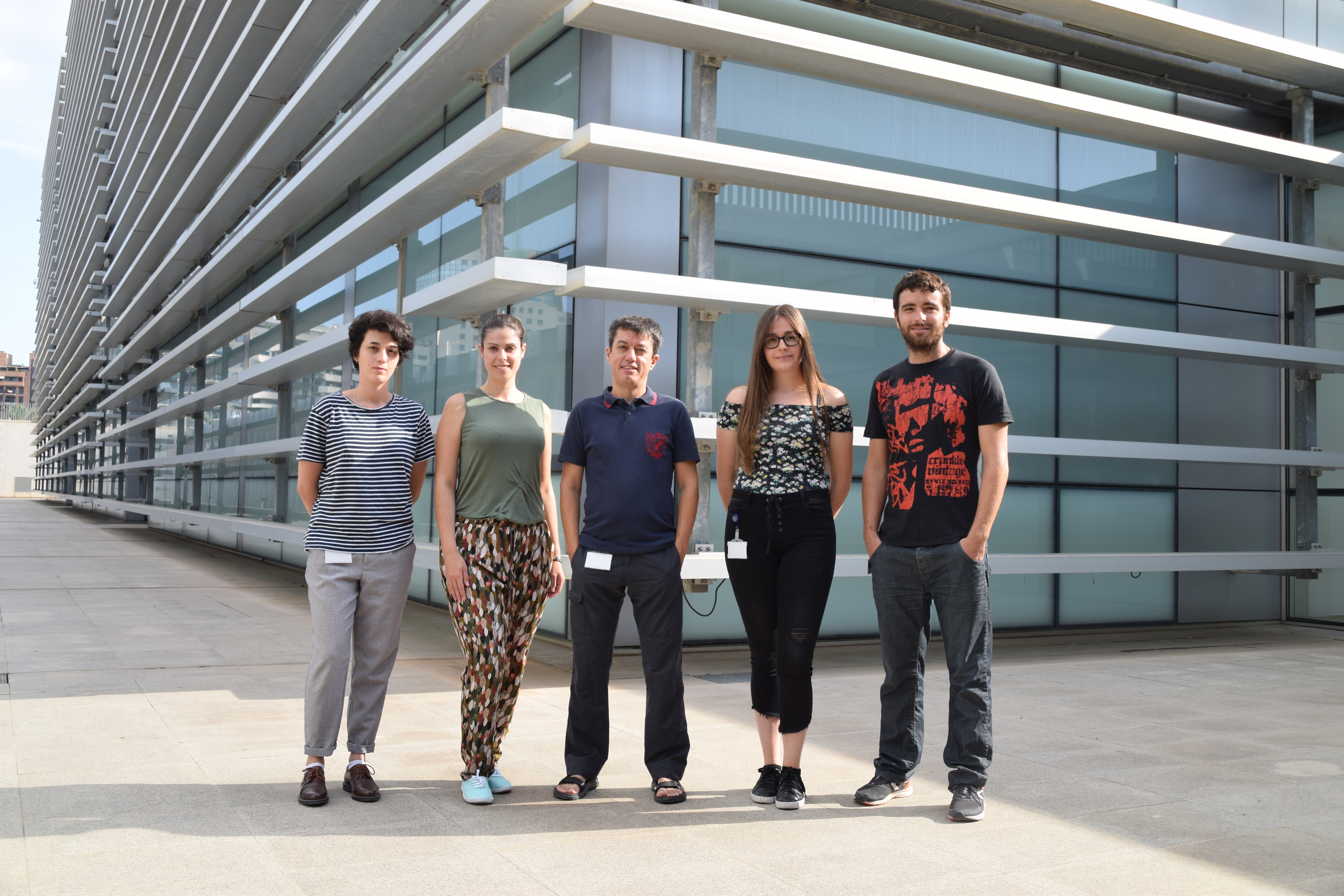 Personal investigador del CIPF descubren una proteína que mejora la supervivencia neuronal en la zona infartada tras un ictus