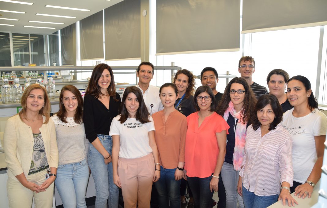 El CIPF y la Fundación del Hospital General de Valencia colaboran en investigación oncológica