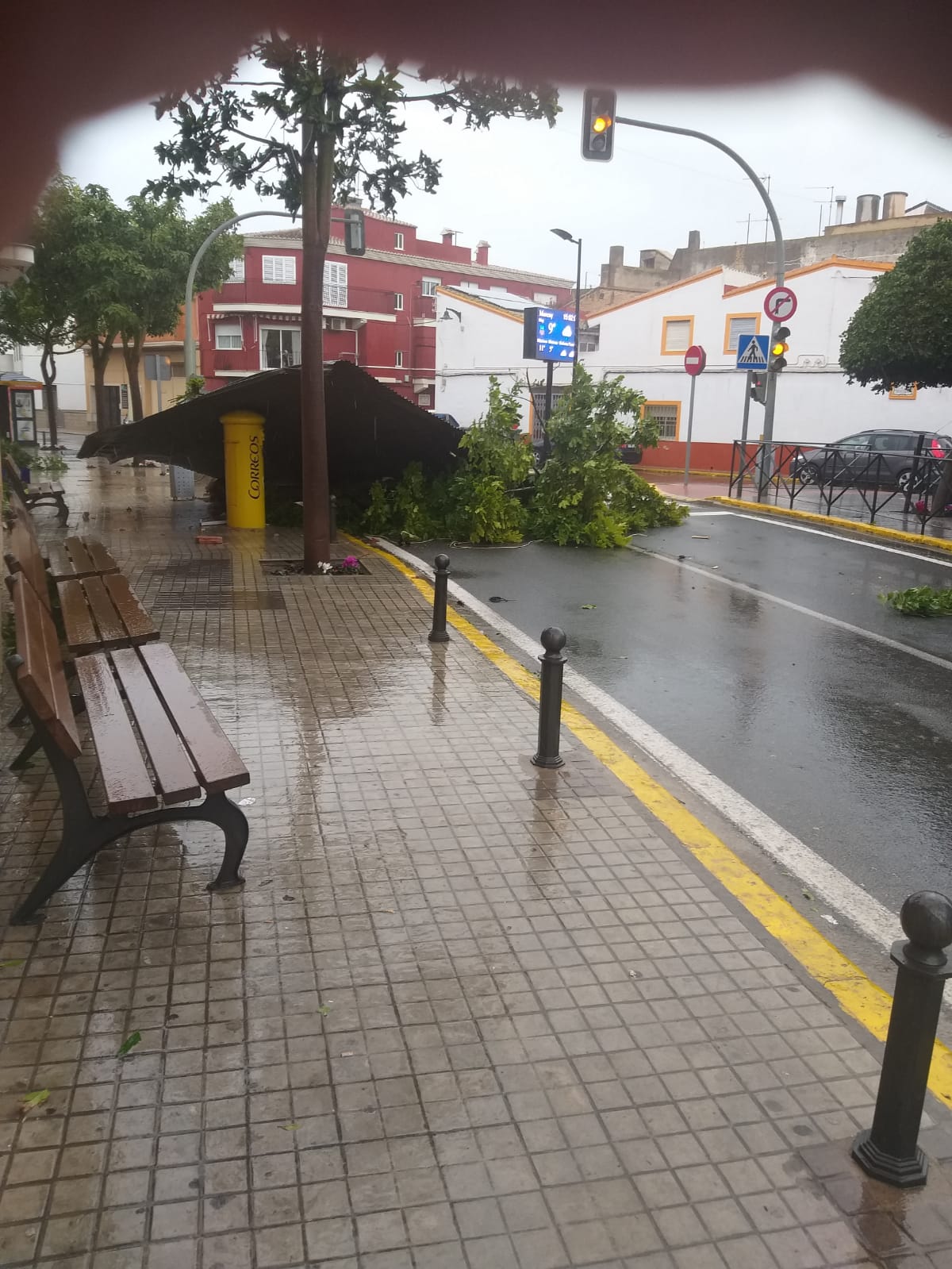 Viento casi huracanado que causa grandes daños