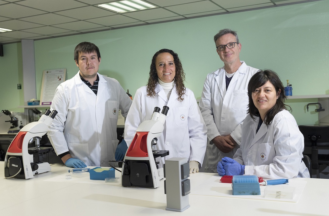 Investigadores de la Universidad Nacional de la Patagonia, en Argentina, y de la CEU UCH de Castellón, estudian las consecuencias del sobrepeso y la obesidad en embarazadas y recién nacidos