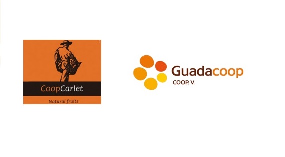 “Ribercamp”, las cooperativas de Carlet y Guadassuar alcanzan un acuerdo