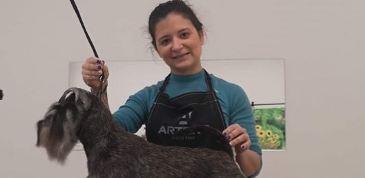 Diario de un autónomo en la ruina por el COVID-19: Peluqueria canina y venta de comida animal