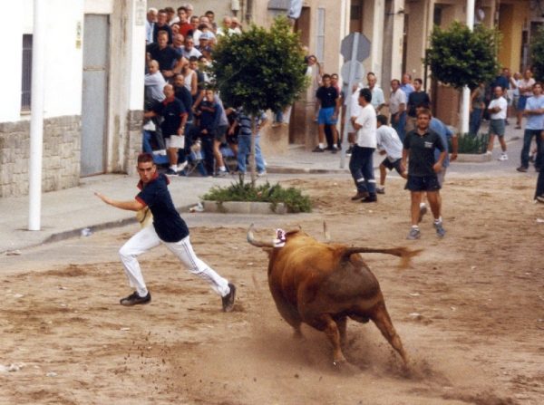 El PP de Albalat dels Sorells ha presentado una moción para que el Ayuntamiento inste a la Generalitat que destine ayudas a las ganaderías de bous al carrer