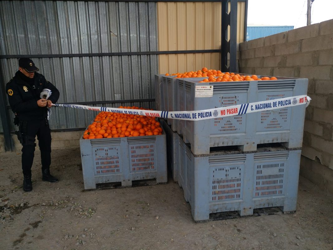 operativos de robos y comercio ilegal hortofrutícolas