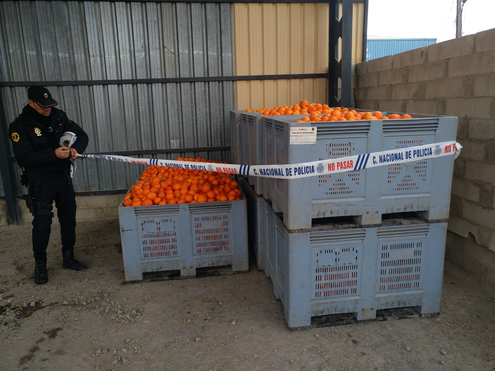 operativos de robos y comercio ilegal hortofrutícolas
