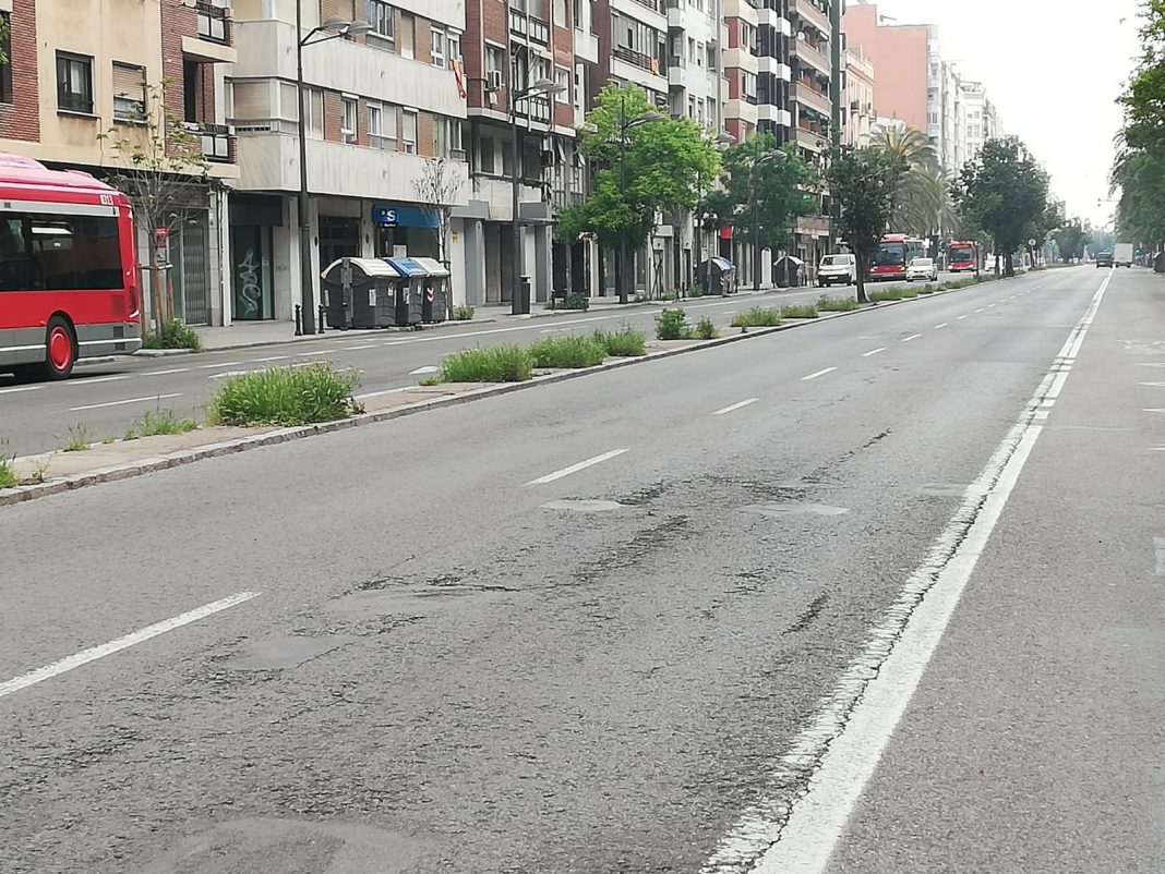 El falso ecologismo del Ayuntamiento de Valencia condena l'Albufera y aumenta la polución