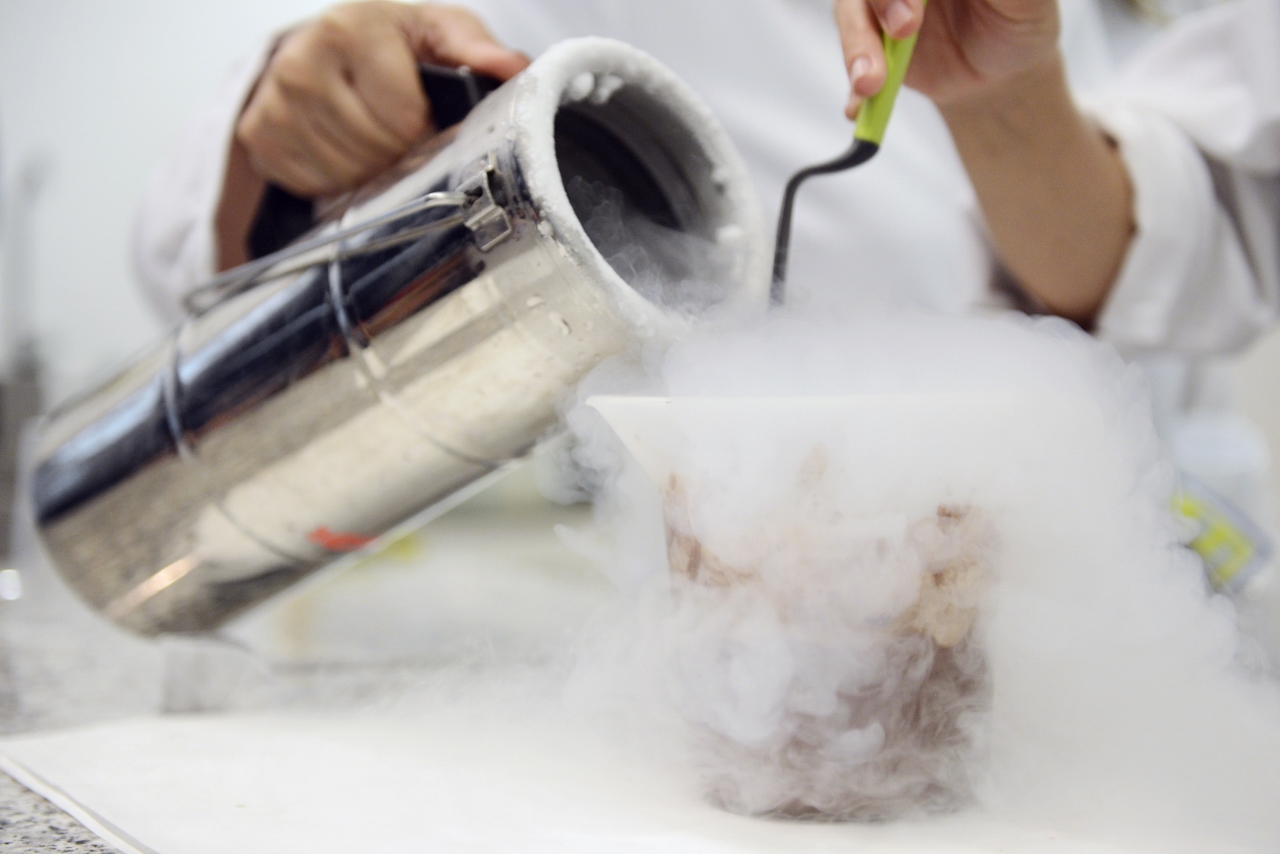 El Museu de les Ciencies vuelve con experiementos en directo "La Ciencia a Escena"