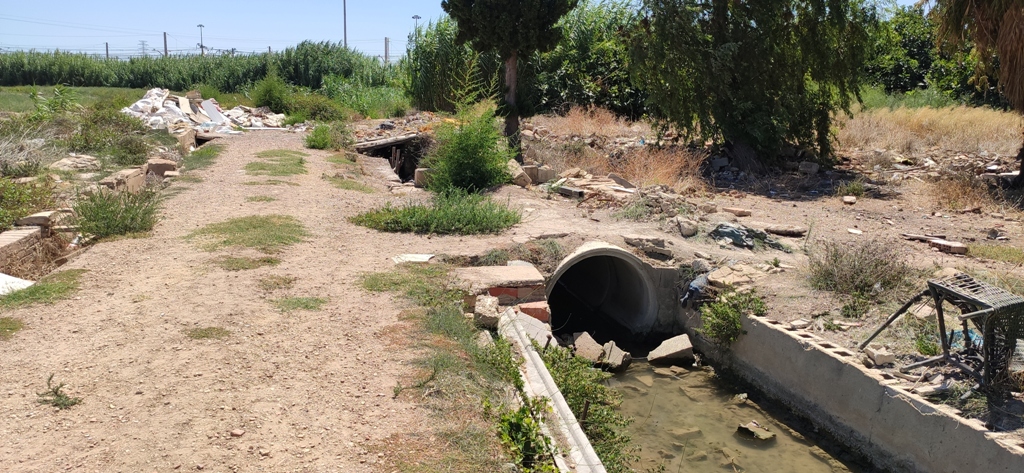 medidas urgentes para salvar los campos de las Pedanías del Sur de Valencia Ciutat