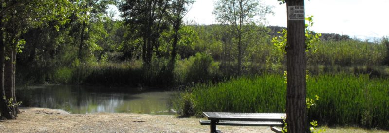 Benaguasil y Villamarchant restringirán el acceso de personas al Parque Natural del Turia