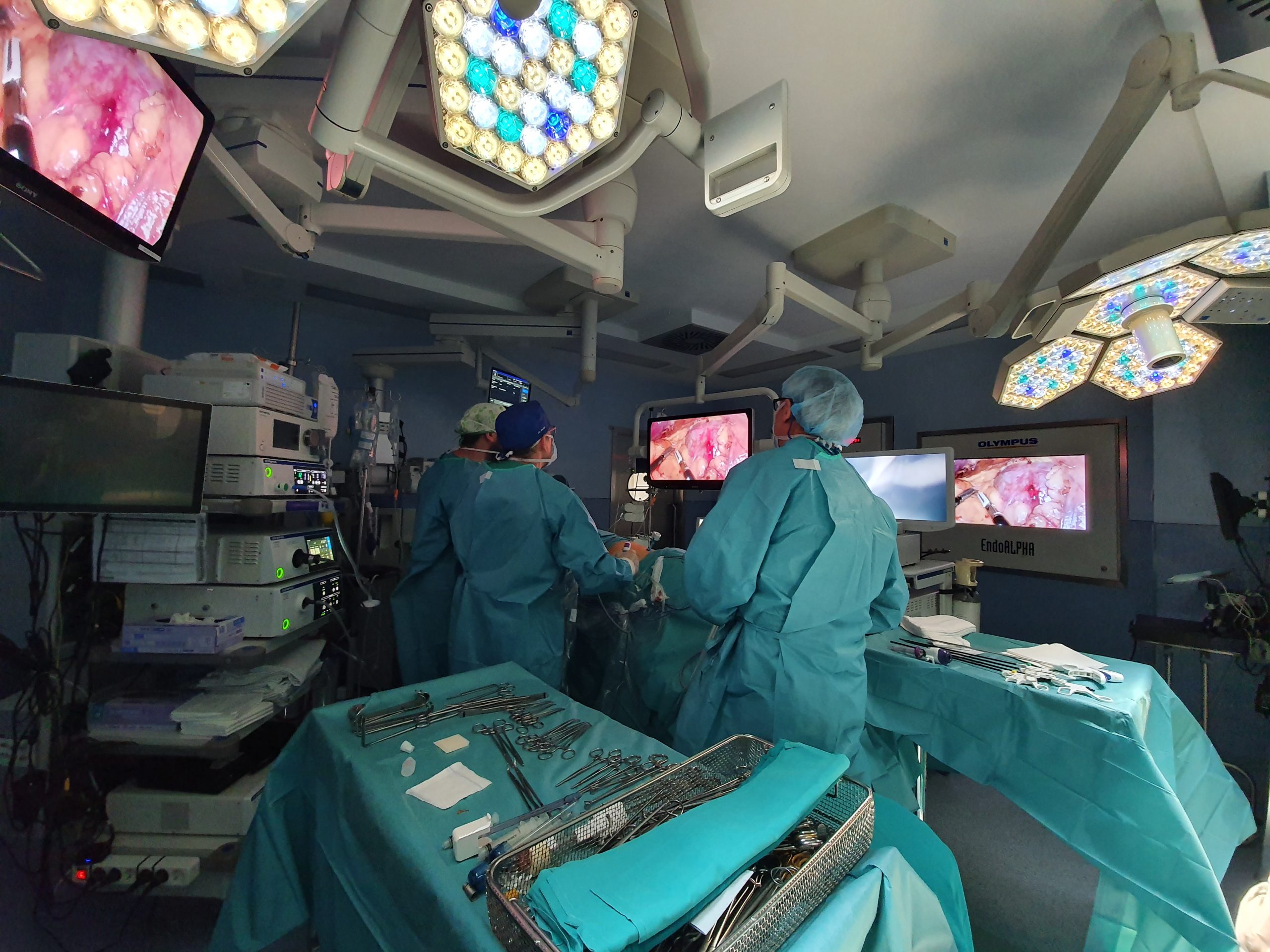 El Hospital Provincial de Castelló destaca en un estudio las ventajas de intervenir el melanoma con laparoscopia