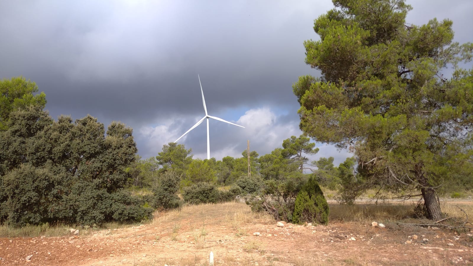 Puig anuncia un decreto para agilizar al máximo todos los tramites para la instalación de energías renovables en la Comunitat Valenciana
