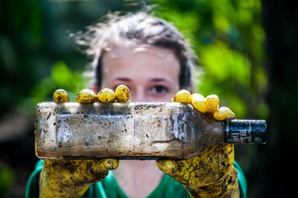 Iberdrola involucra a 4.000 empleados el Día del Voluntariado, adaptado a las condiciones de la COVID-19