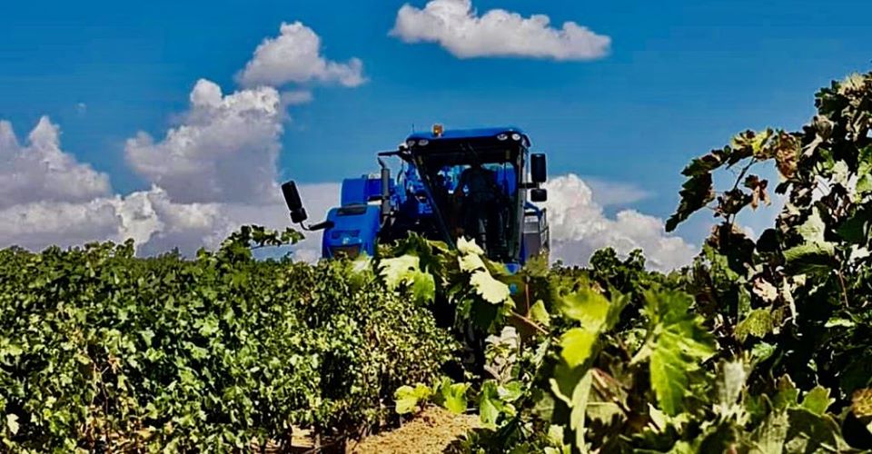 La Conselleria de Agricultura concede cerca de 200.000 euros a 80 municipios rurales afectados por la COVID-19