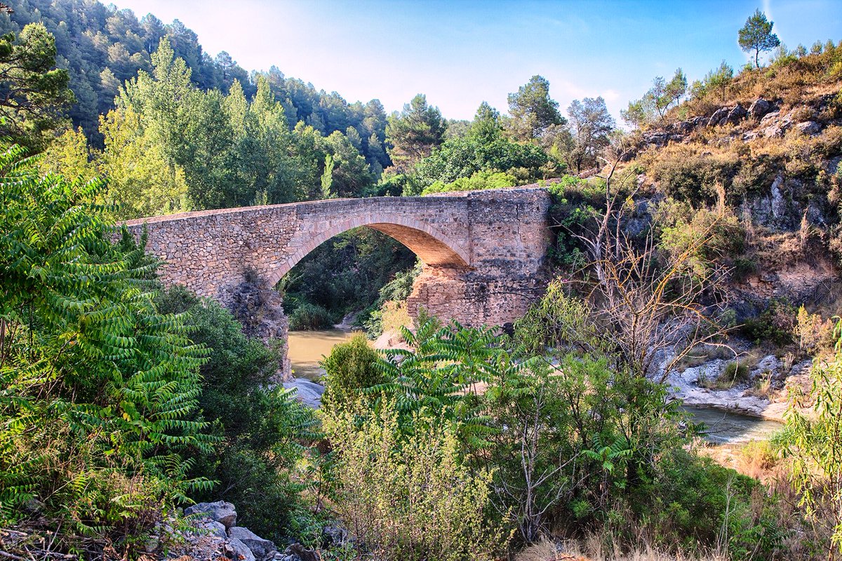 El Consell declara como Zona Especial de Conservación siete Lugares de Importancia Comunitaria de la Comunitat Valenciana