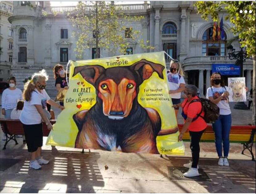El próximo 24 de octubre se convoca una concentración en Catarroja por el maltrato animal
