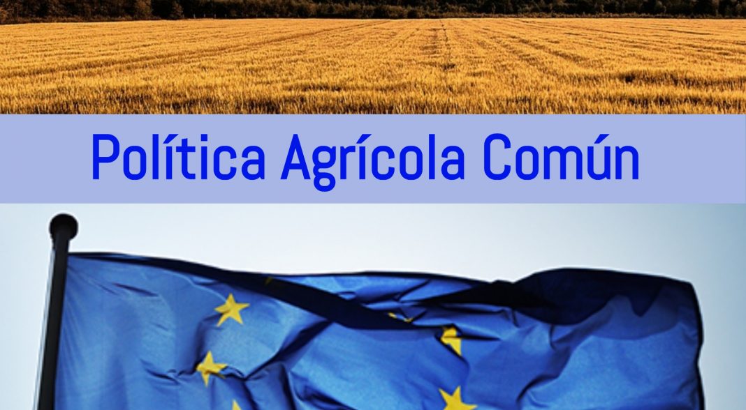 El Consell anticipa 31,27 millones de euros de los Pagos Directos de la Política Agrícola Común
