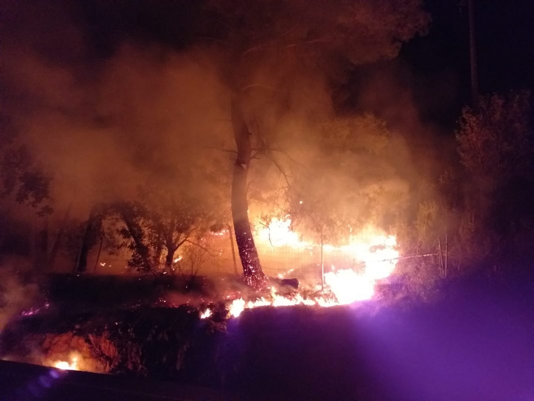 Emergencia Climática refuerza las medidas de prevención de incendios forestales de cara a la Semana Santa en la Comunitat Valenciana