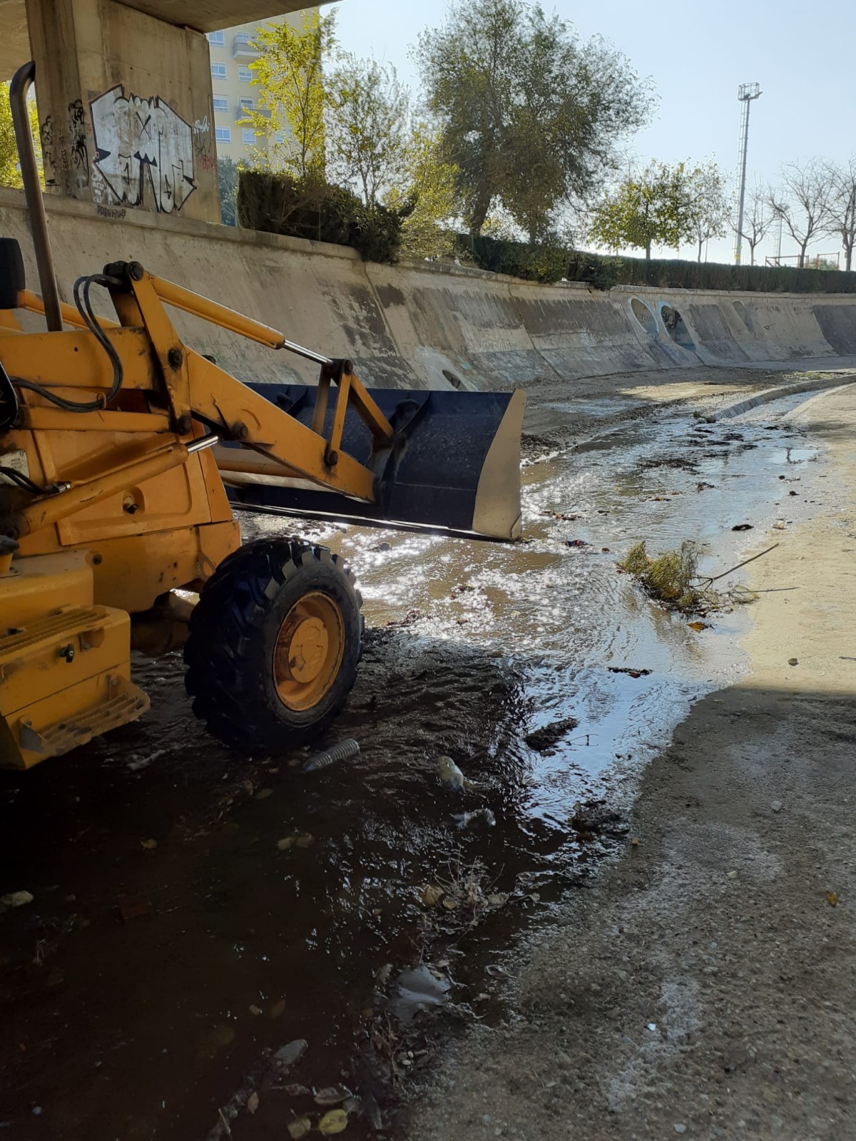 El Ayuntamiento de Elda y Fobesa realizan una nueva limpieza del cauce del río Vinalopó y retiran cerca de 4 toneladas de enseres y basura