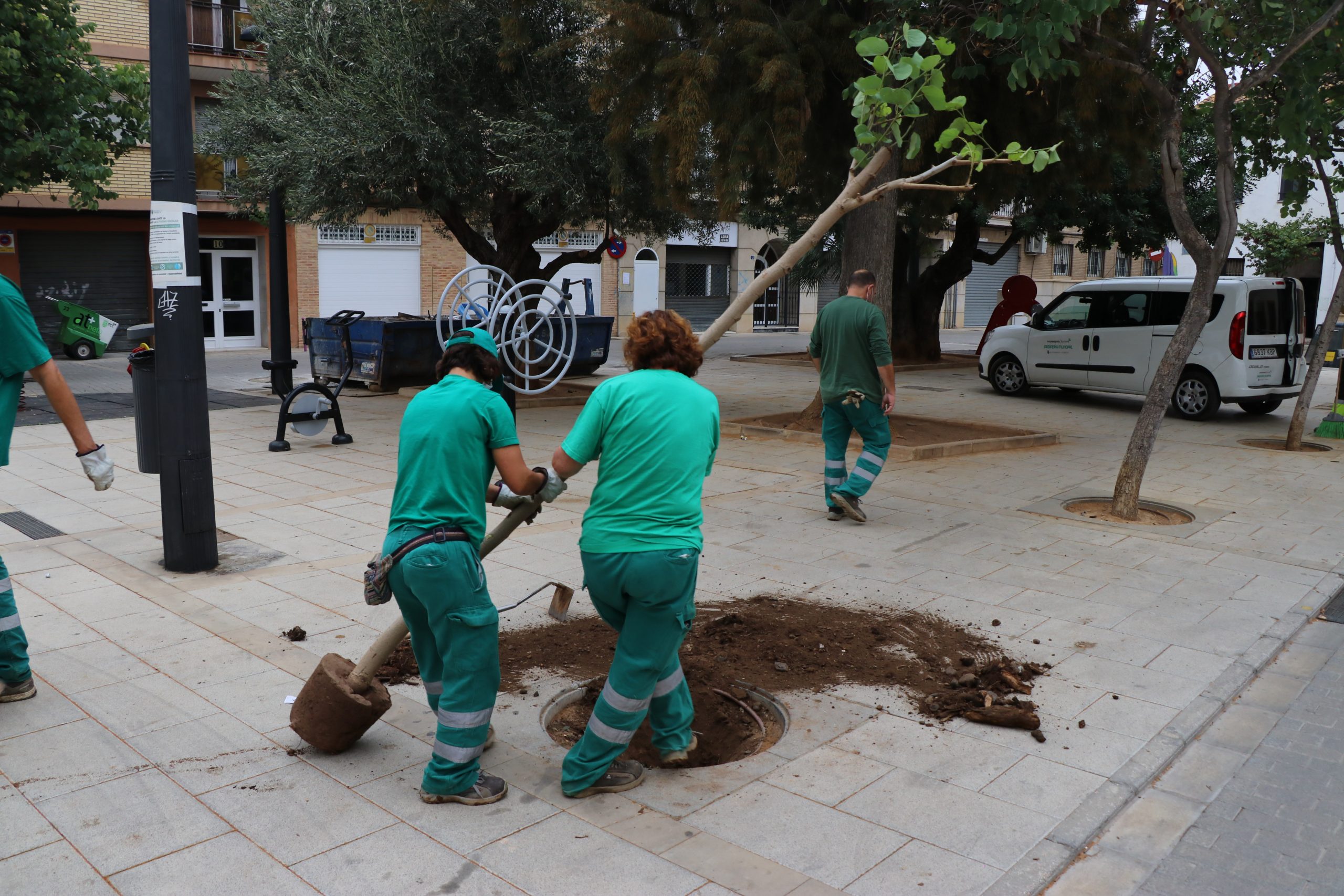 Torrent continúa con su plan de mejora del arbolado urbano