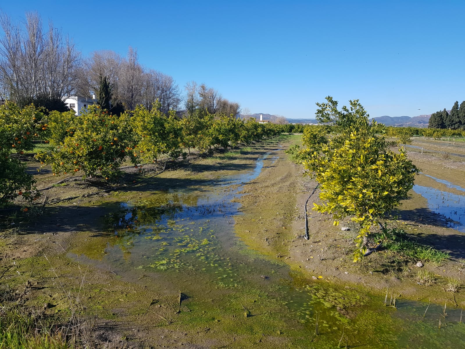 El MITECO publica el inventario de obras de defensa frente a inundaciones para garantizar la adecuada gestión de las masas de agua