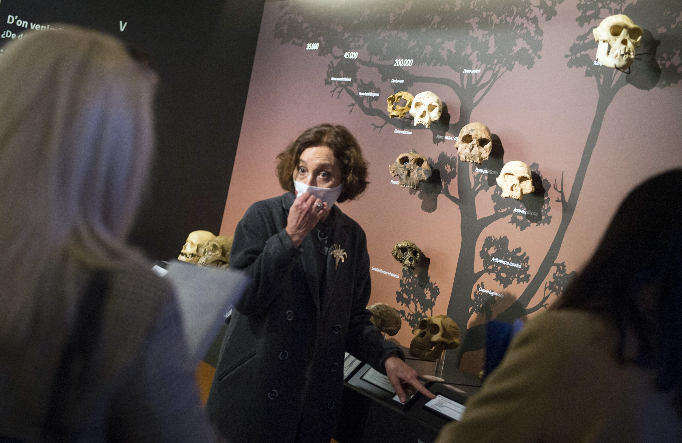 El Museu de Prehistoria de Valencia renueva sus salas y contenido