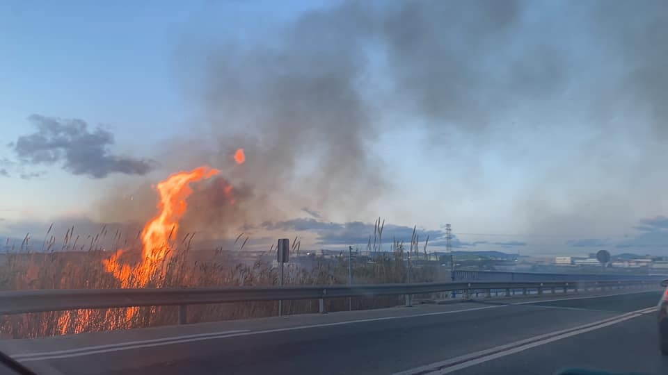 Se declara un incendio en el parque natural del Turia junto Manises que corta la N220