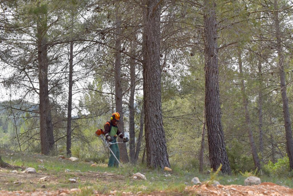 Las brigadas forestales de la Diputació de Valencia ponen a punto las áreas recreativas