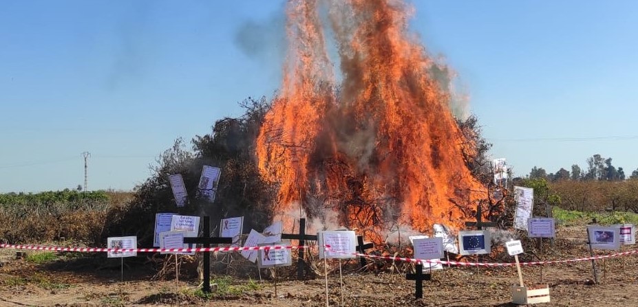 La prohibición de quema de restos agrícolas parece que se puede solucionar con autorizaciones extraodinarias si la Generalitat publica una resolución