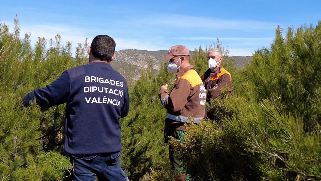 Las brigadas forestales de la Diputació de Valencia colaboran con un proyecto europeo para prevenir emisiones de gases de efecto invernadero