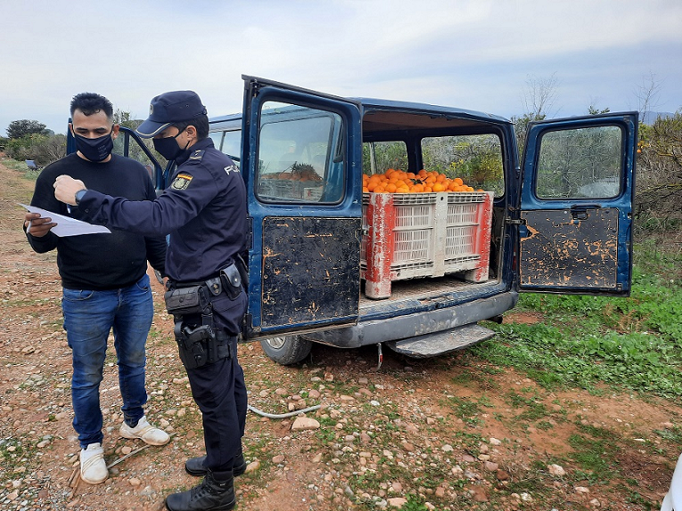 La Policía de la Generalitat detiene a 28 personas en 110 inspecciones durante la segunda campaña de prevención de robos y empleo ilegal en el campo