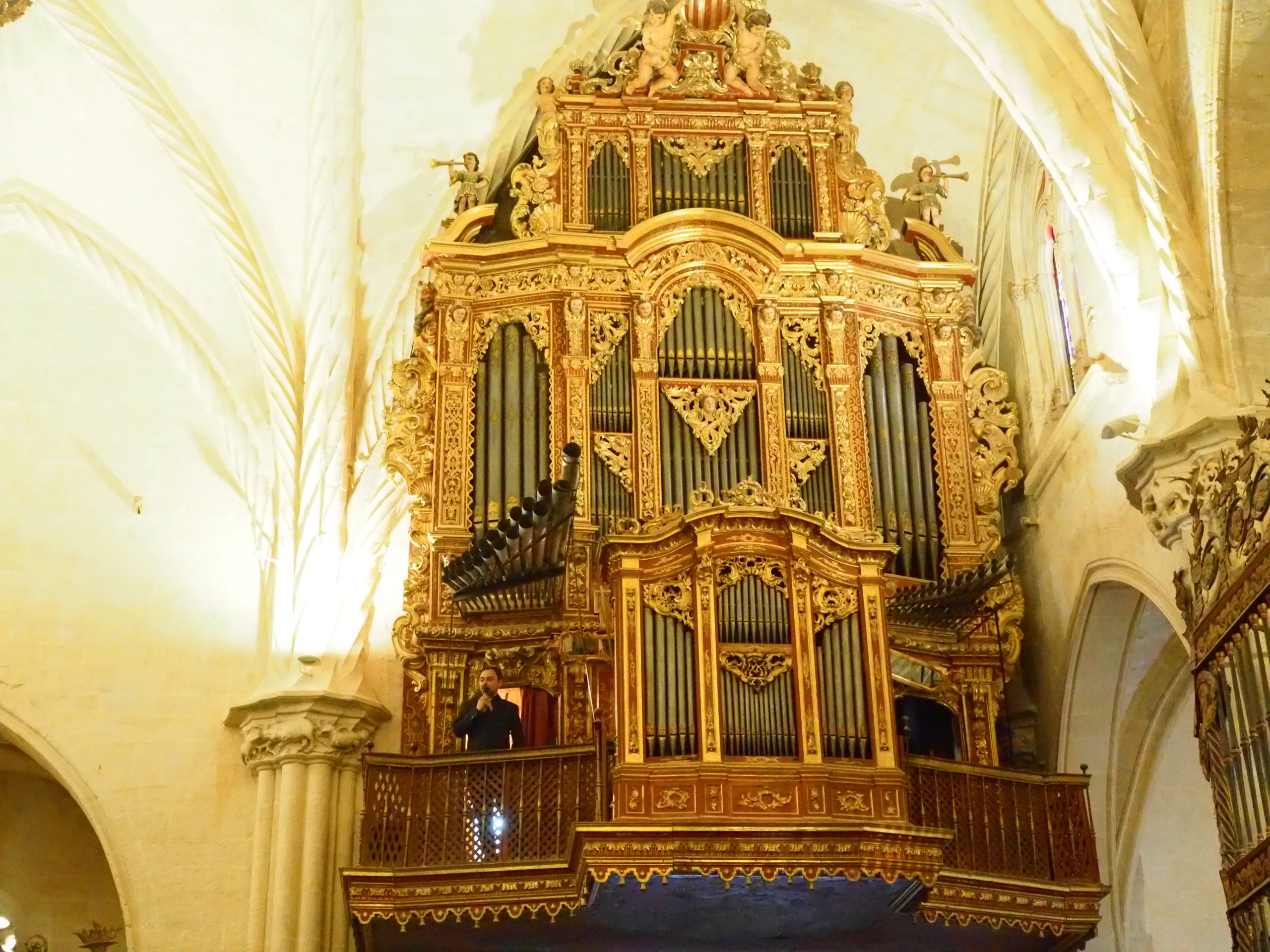 Para Rocamora “las ediciones que se han celebrado han sido un éxito, con grandes artistas. Nuestra ciudad es un referente cultural en España y la llegada del AVE a Orihuela es un hito muy importante para la ciudad”