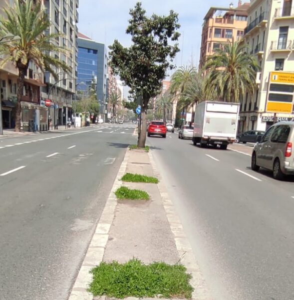 Comienzan las obras del carril bici de Cardenal Benlloch-Eduardo Boscá que dejará con un sólo carril de circulación estas vías dirección centro