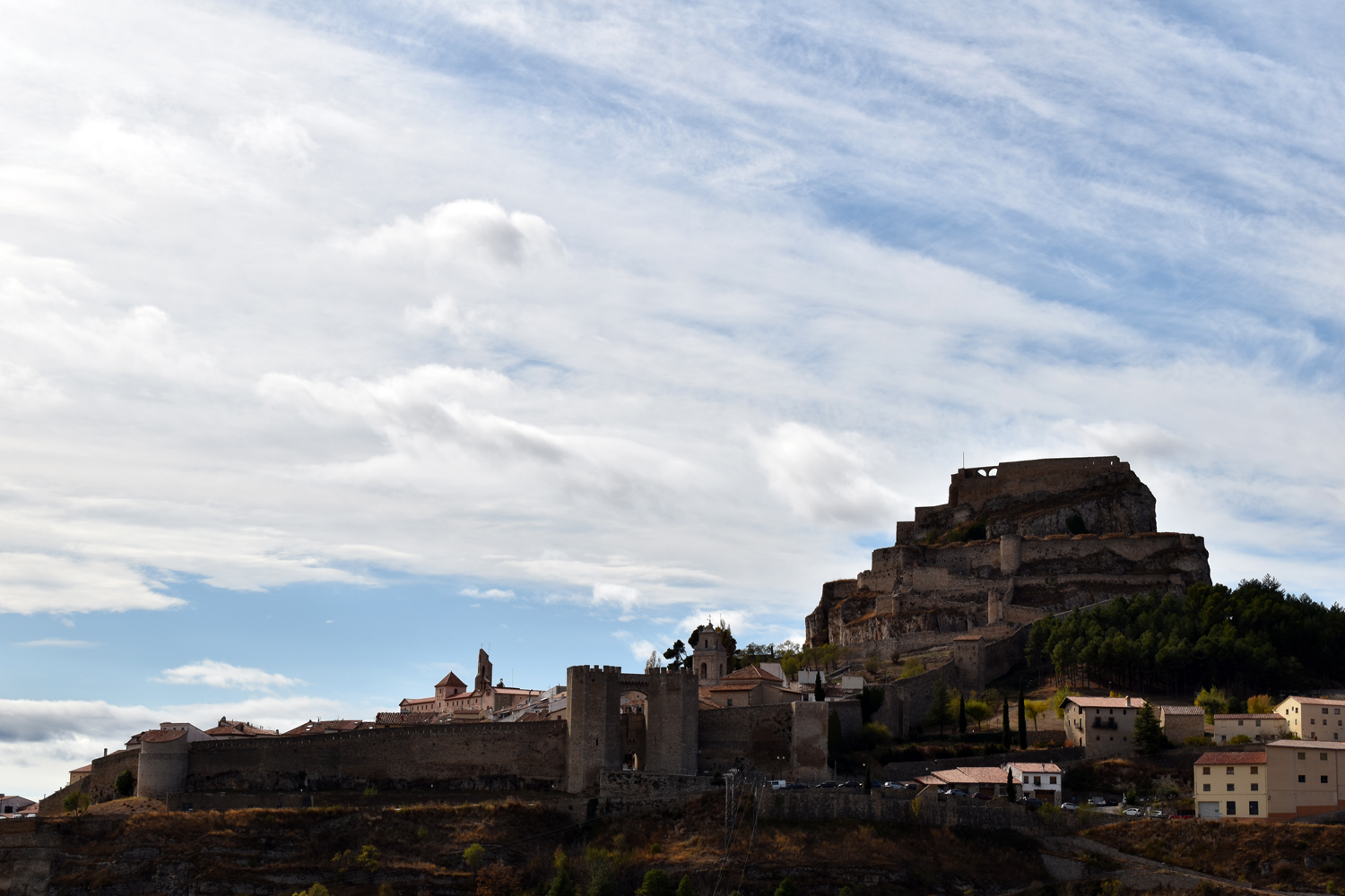 Morella