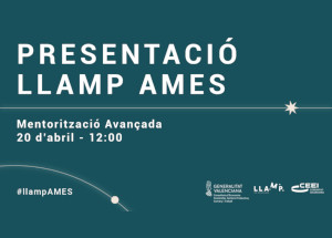Proyecto Llamp Ames