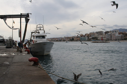 Siguen sumándose pescadores al amarre de sus barcos exigiendo medidas inmediatas al Gobierno