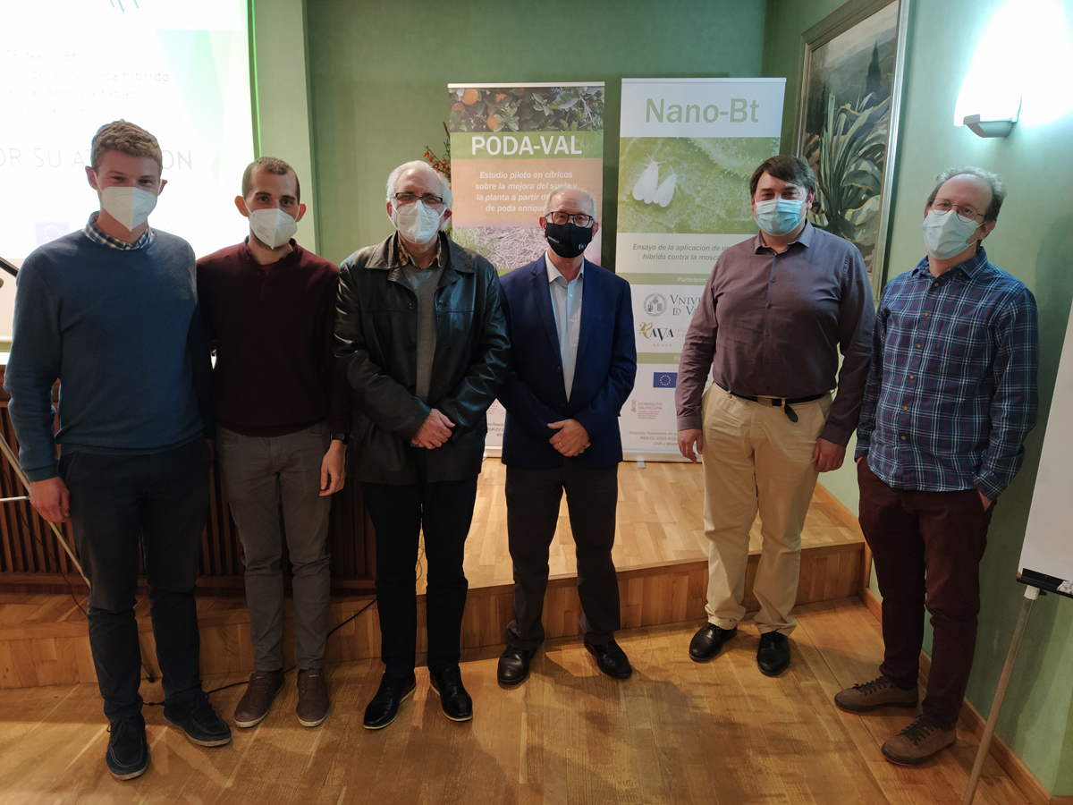 La UV y AVA-ASAJA comprueban los beneficios agroambientales de la aplicación en el suelo de restos de poda y de cubiertas vegetales