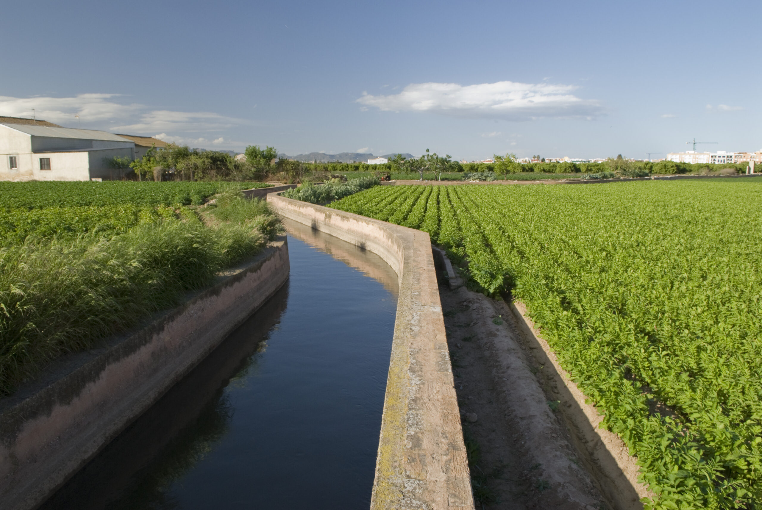 Consell de l'Horta