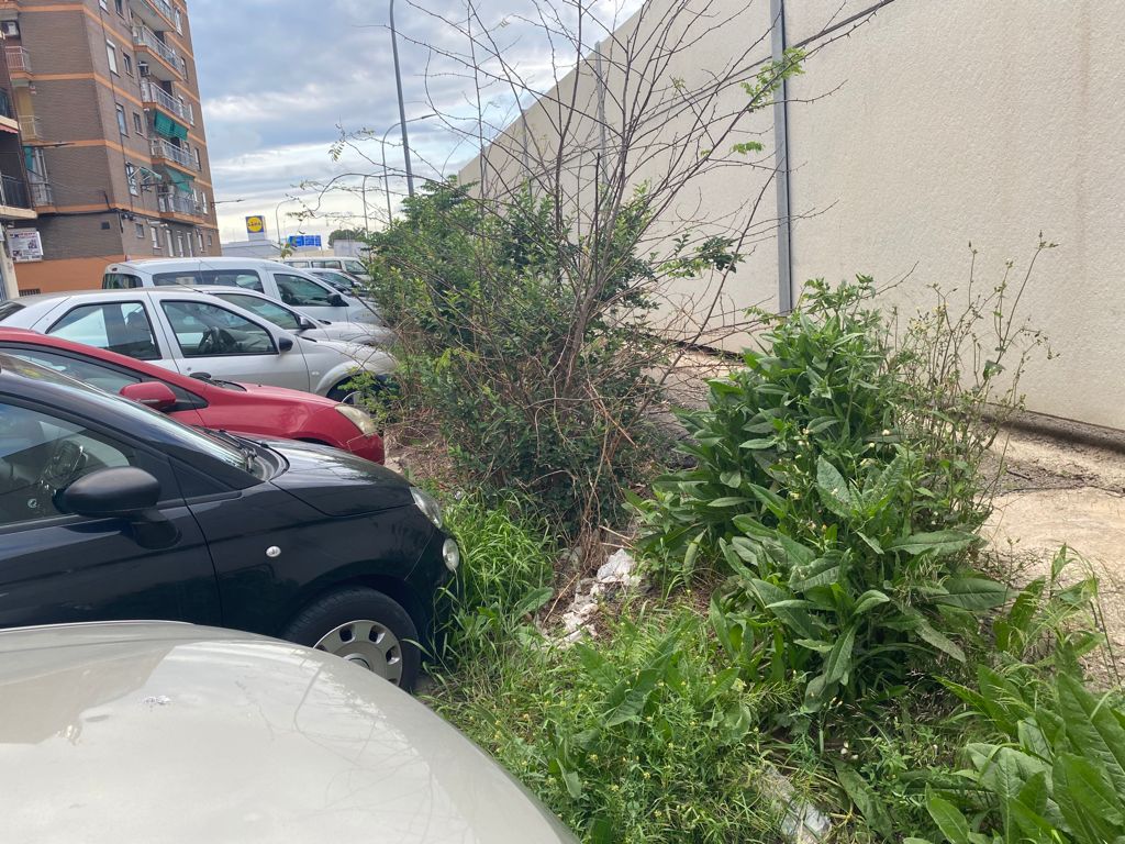 Ciudadanos Chirivella denuncia que el pliego de jardinería caducó hace un año y medio