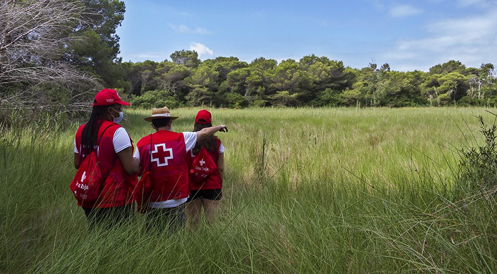 Cruz Roja inicia el voluntariado ambiental para vigilar la Devesa-Albufera de Valencia
