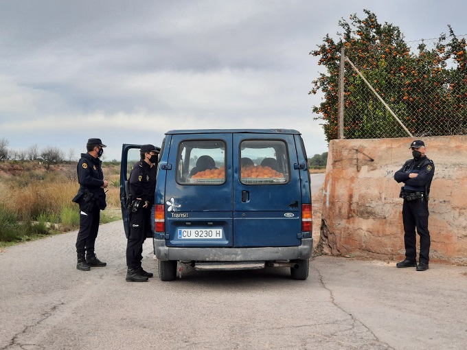 La Policía de la Generalitat detiene a 53 personas en la campaña de prevención de robos en el campo