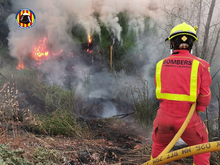 El Consorcio interviene en un incendio forestal en Losa del Obispo